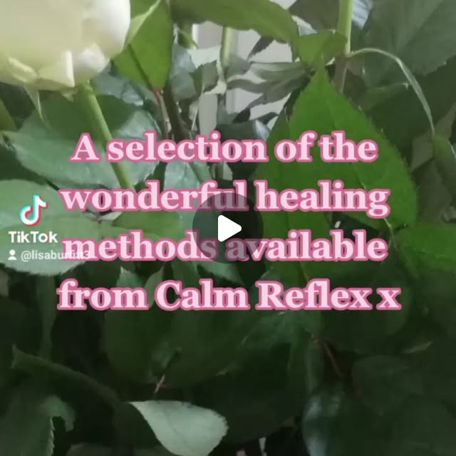 CalmRef's tweet card. Lisa Burfitt (@lisaburfitt) • Instagram video