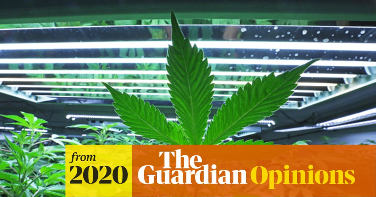 KnowDrugsNet's tweet card. Waging war on illegal substances has failed, now Labour should lead the way in calling for the removal of charges for possession, says journalist and author Antony Loewenstein