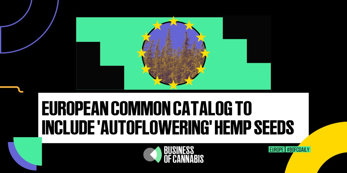 r_crainn's tweet card. The European Commission has officially approved the first ‘autoflowering’ hemp seeds, in what the creators say could be a ‘game changer’ for farmers in colder climates. Bulgarian-based CBD Seed...