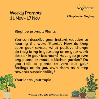 thoughtsbygeet's tweet card. OMG! I Will Be Growing My Own Potted Plants! Image by Dominic Alberts from Pixabay I still remember the days in grade school when I studied plant and animal classification. Our Biology teacher once…