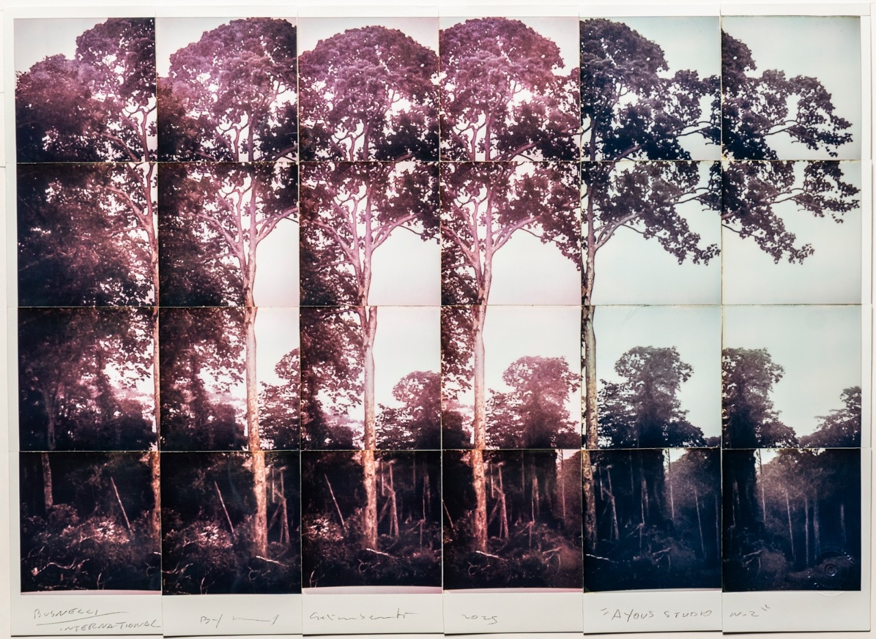 DomusWeb's tweet card. The internationally renowned photographer, who is known for his portraits of Hollywood celebrities, has collaborated with Busnelli International on a photography exhibition at the Fondazione Rovati....