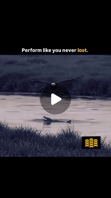 aetherdesignlab's tweet card. Aether Design Development (@aetherdesigndevelopment) • Instagram reel