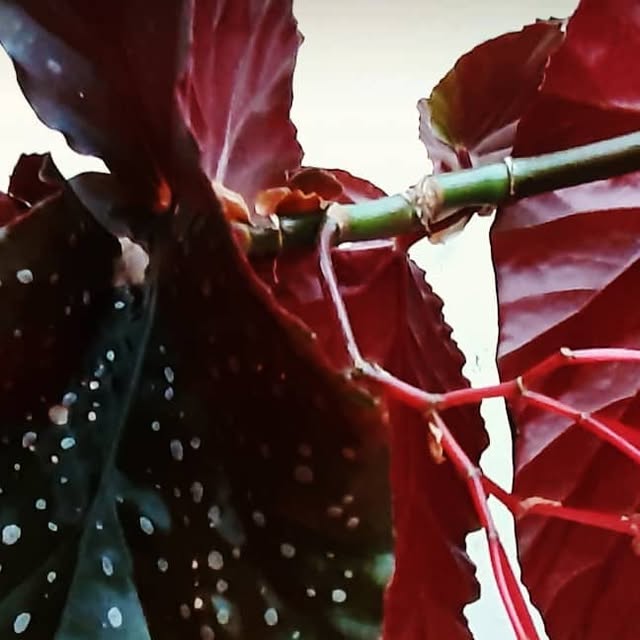 theitboy's tweet card. Hip Hop Instrumental Music (@theitboymusic) • Instagram photo