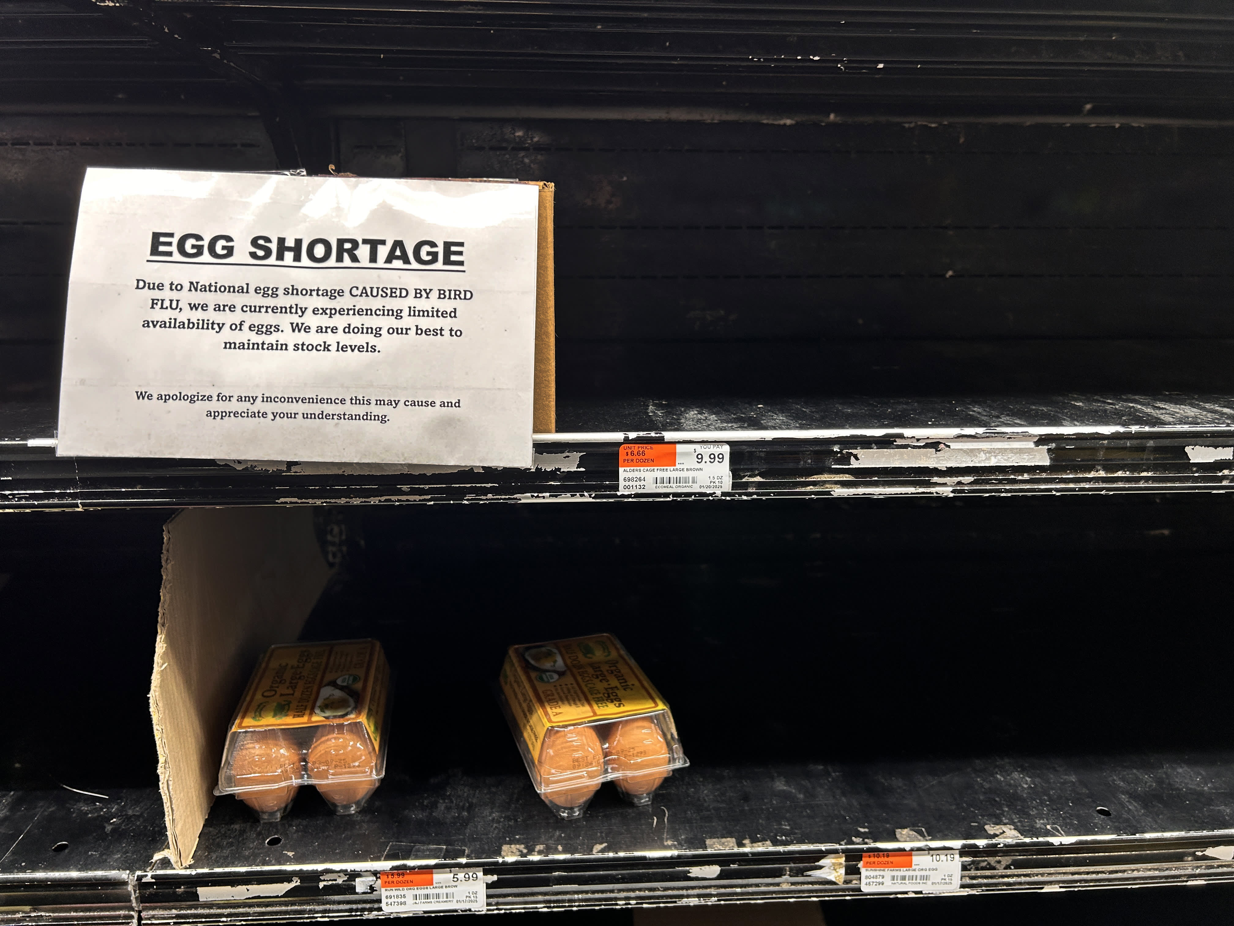 140developer's tweet card. Wholesale egg prices are on the rise amid a bird flu outbreak.
