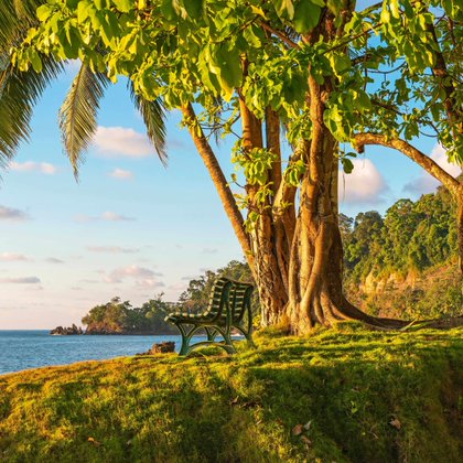 Tweet card summary image