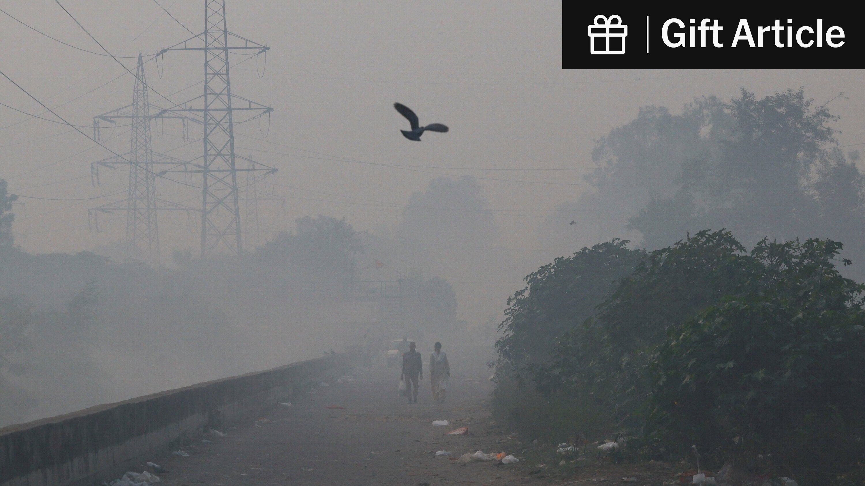 CopiousNotes27's tweet card. The air quality in India’s capital ranks among the worst in the world, but experts say politics stand in the way of improving it.