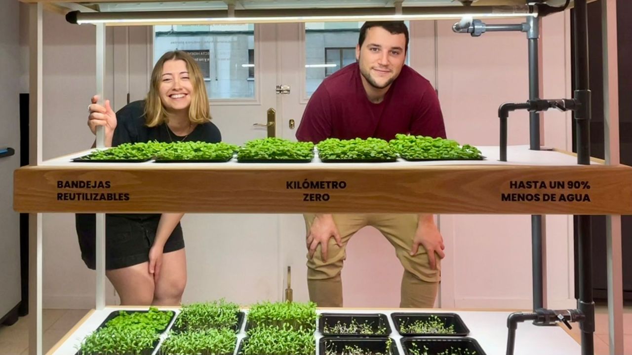 ceeiasturias's tweet card. El emprendimiento femenino cambia el dinámico mundo empresarial al redefinir el éxito corporativo. Con esa visión innovadora y única, las mujeres ponen en marcha negocios en sectores cruciales para...