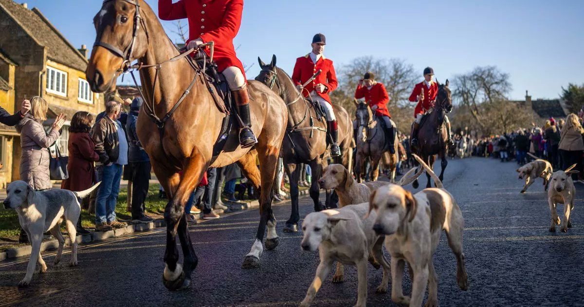 ProtectTheWild_'s tweet card. As hunts prepare for traditional Boxing Day meets, campaigners demand action on the government's pledge to ban trail hunting, amid concerns it’s being used to mask illegal activities