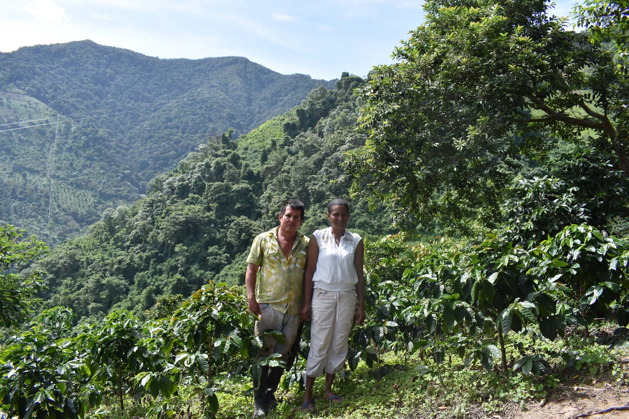 inconexuscoffee's tweet card. Edith Gonzales and Rosi Quiñones from Royal wrote a grant proposal for the Canopy Bridge travel grant offered to help finance sourcing trips for businesses