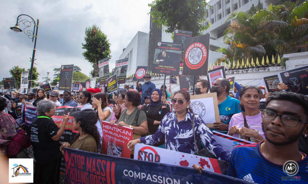 devsbr's tweet card. 'We strongly believe solution lies in compassionate, ethical strategies.'