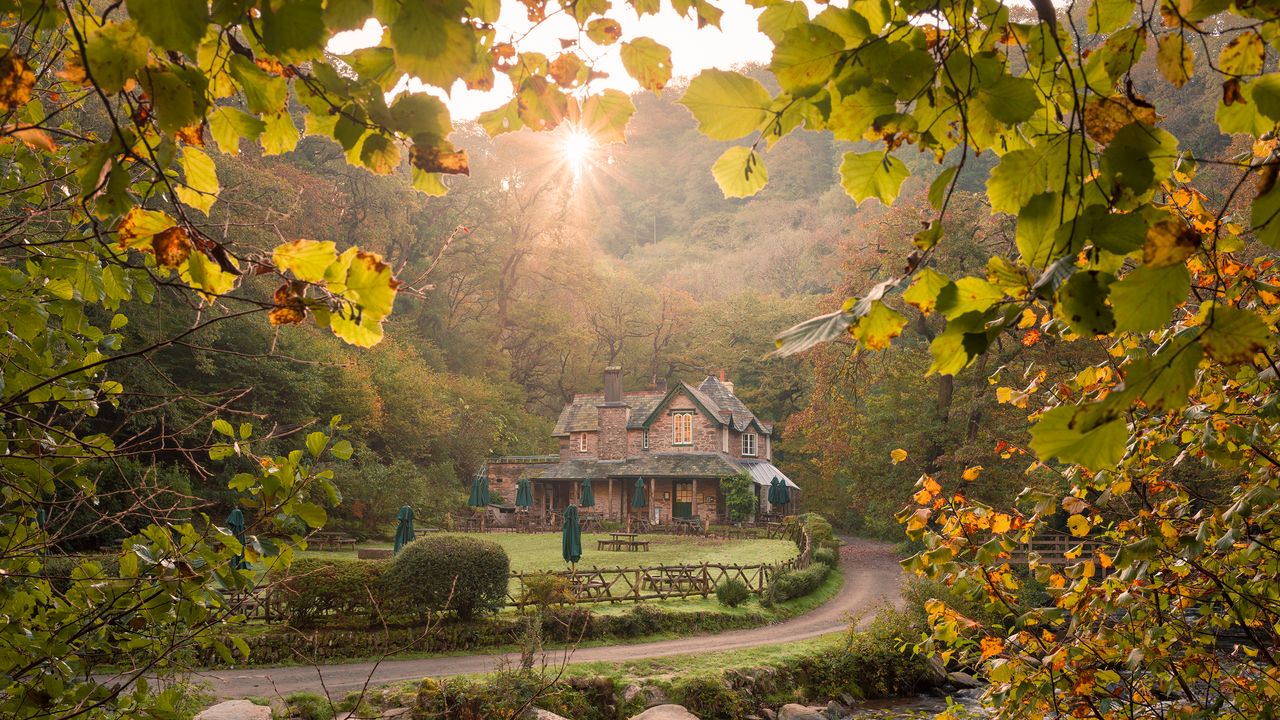 CNTravelerSpain's tweet card. El otoño en Devon es un titular en el que caben bosques anaranjados, jardines que lanzan su canto del cisne antes del invierno y vertiginosos acantilados.