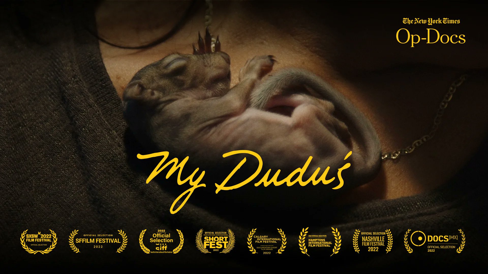 BrokenTreeDist's tweet card. My Duduś