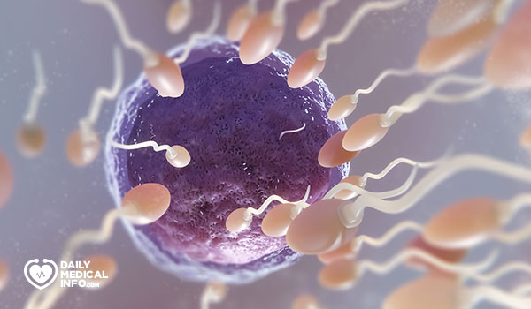 DMedicalinfo's tweet card. ما هو العدد الطبيعى للحيوان المنوى لحدوث حمل ؟ تابع المقال لمعرفة الإجابة بالإضافة إلى طرق زيادة عدد الحيوانات المنوية.