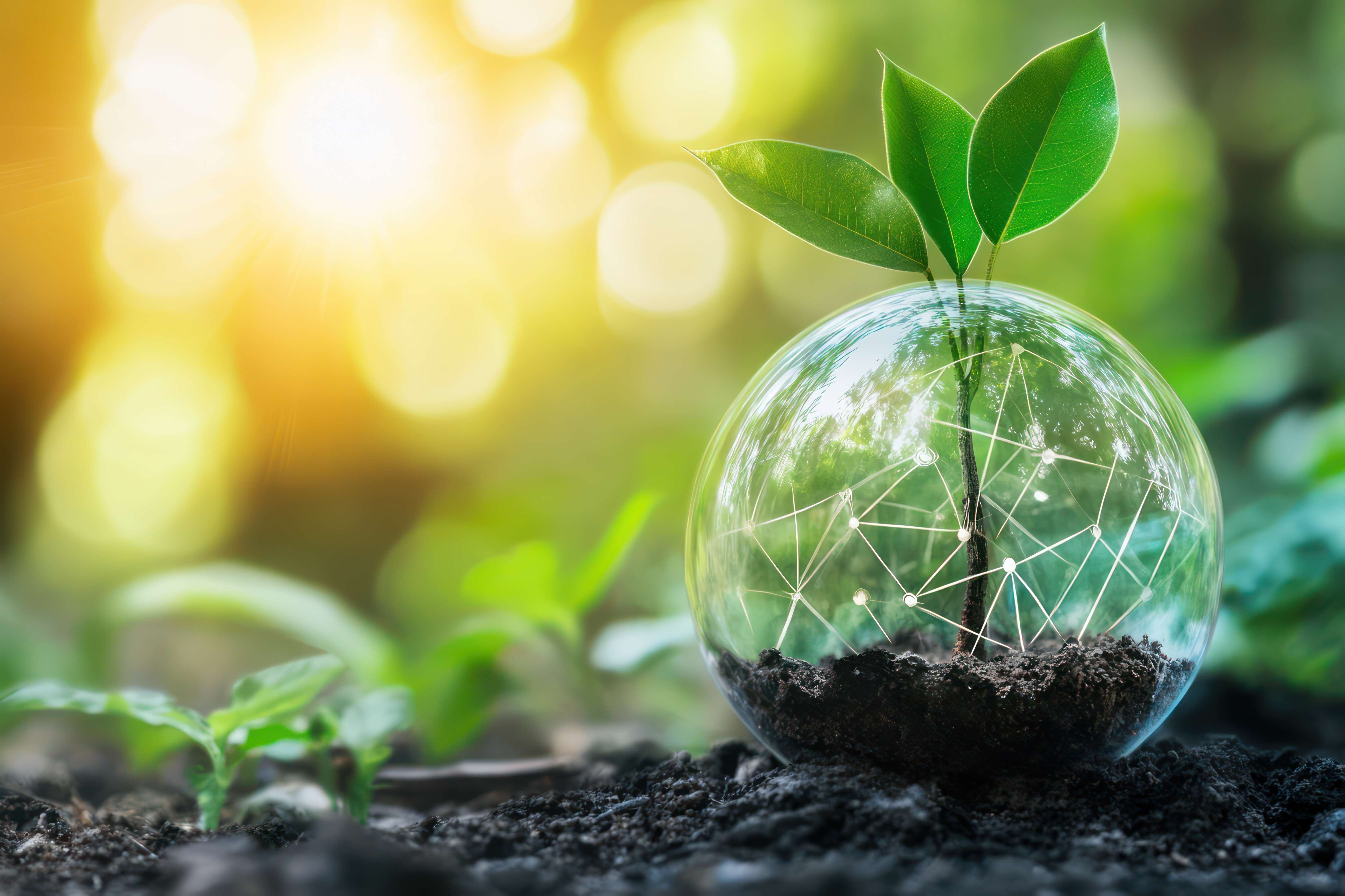 curious_media's tweet card. Source: https://home.cib.natixis.com/investors-take-on-transition-planning READ from source