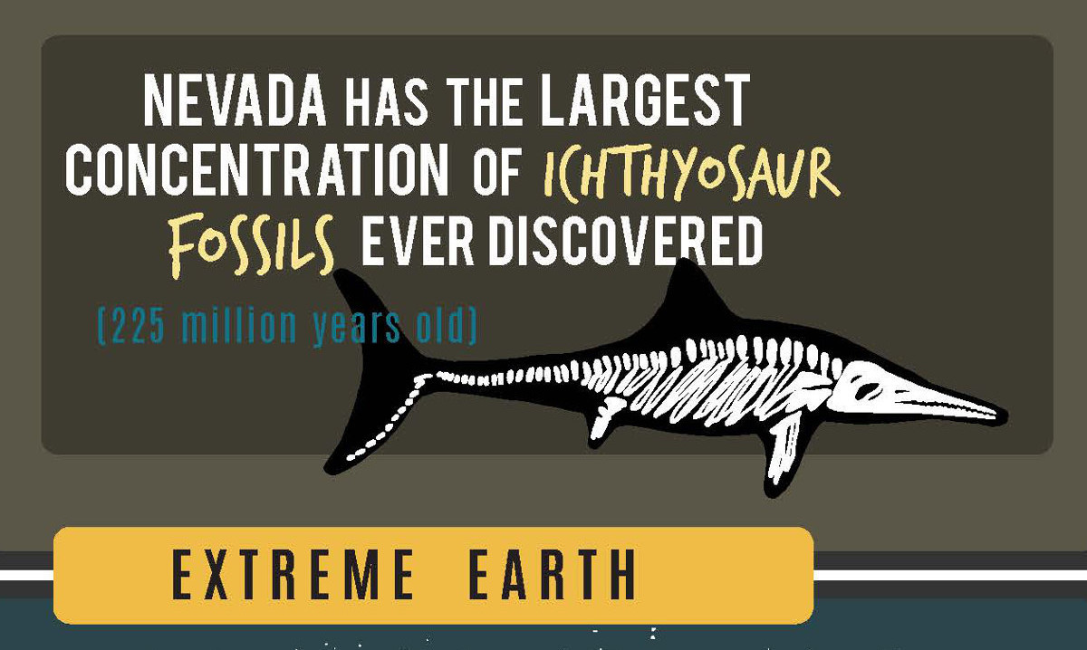 rcrocc's tweet card. This infographic proves it: Nevada is one of the most incredible places on Earth.