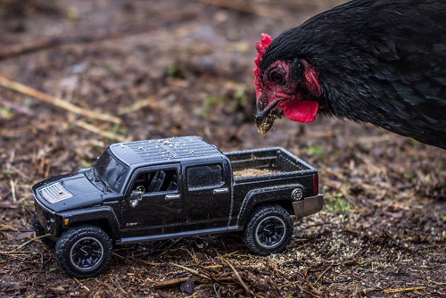 ConscienHealth's tweet card. Because of the coronavirus pandemic, we're getting a crash course in modeling and model assumptions for making health policy. Cricical Thinking 101.