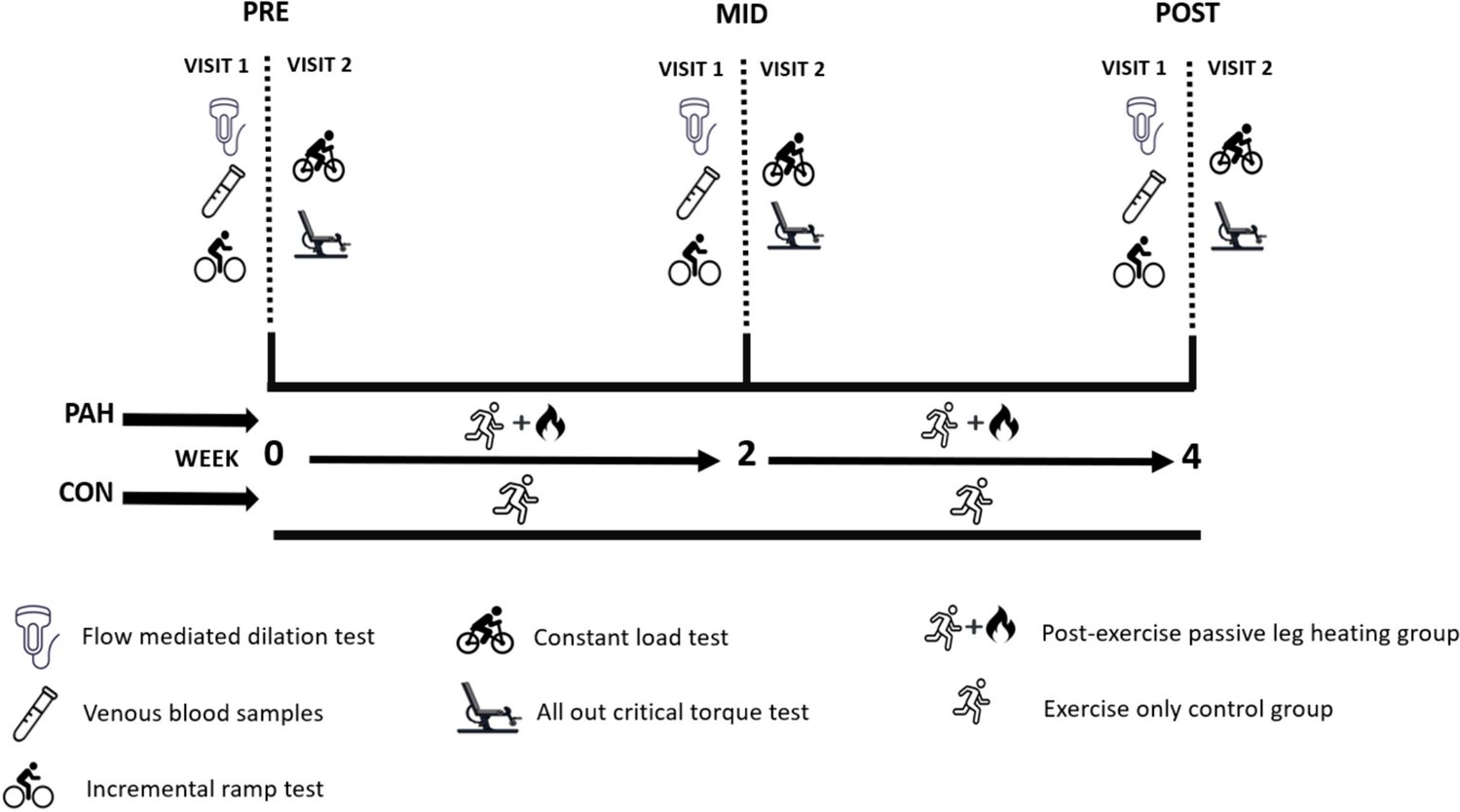 Kevin_John08's tweet card. European Journal of Applied Physiology - Post-exercise passive heating has been reported to augment adaptations associated with endurance training. The current study evaluated the effect of a...