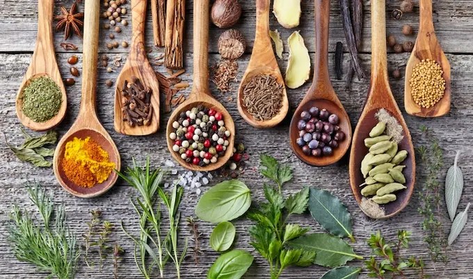 BlogBucket's tweet card. What is Ayurveda and what type of food Ayurvedic lives recommend for human to be healthy naturally?