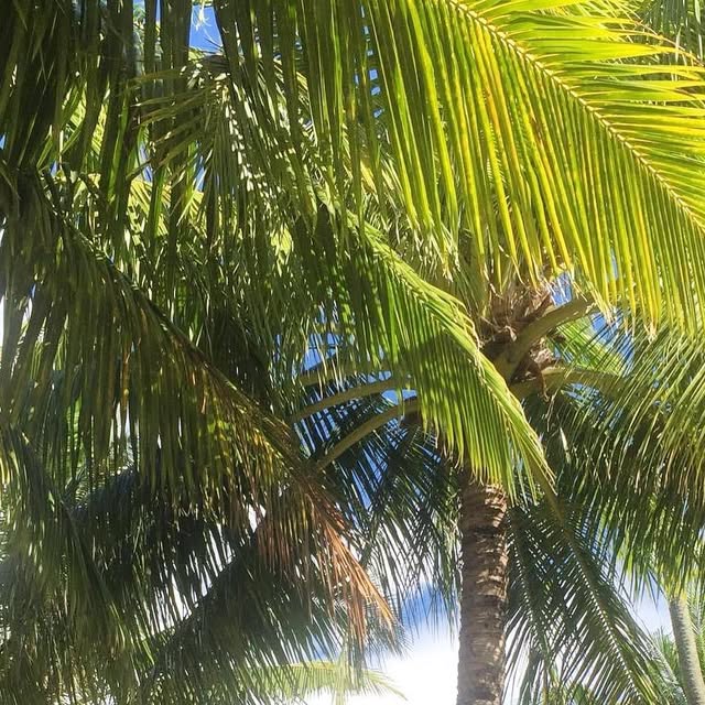 PoolsideStyle's tweet card. Poolside Style (@poolsidestyle) • Instagram photo