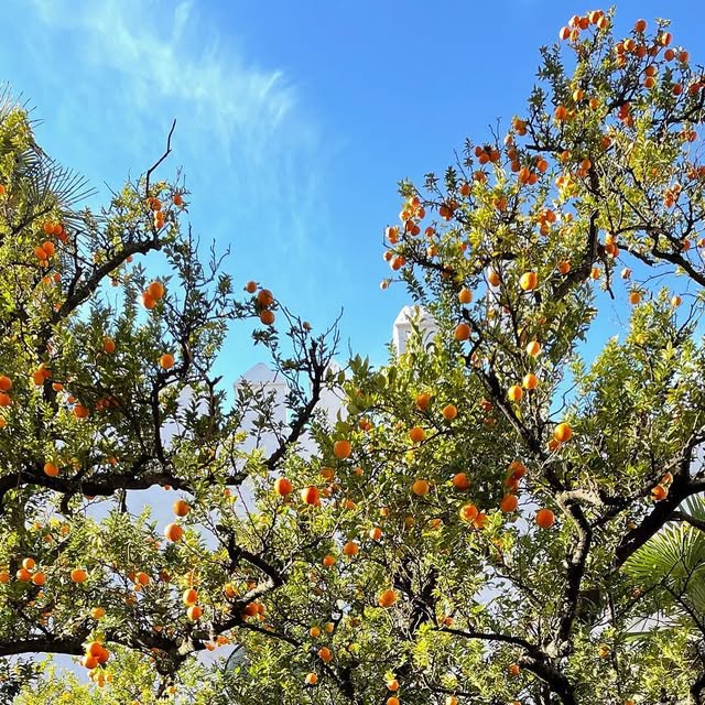 PoolsideStyle's tweet card. Poolside Style (@poolsidestyle) • Instagram photo