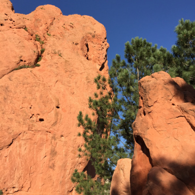 FirstCauseOrg's tweet card. I was talking to my stressed certified public accountant (CPA).  It is that time of year when he prepares tax returns for all his clients. The strain on his face was palpable, so his answer was no...