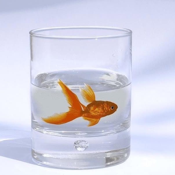 WebMatrix's tweet card. Web Matrix (@webmatrixsingapore) • Instagram photo