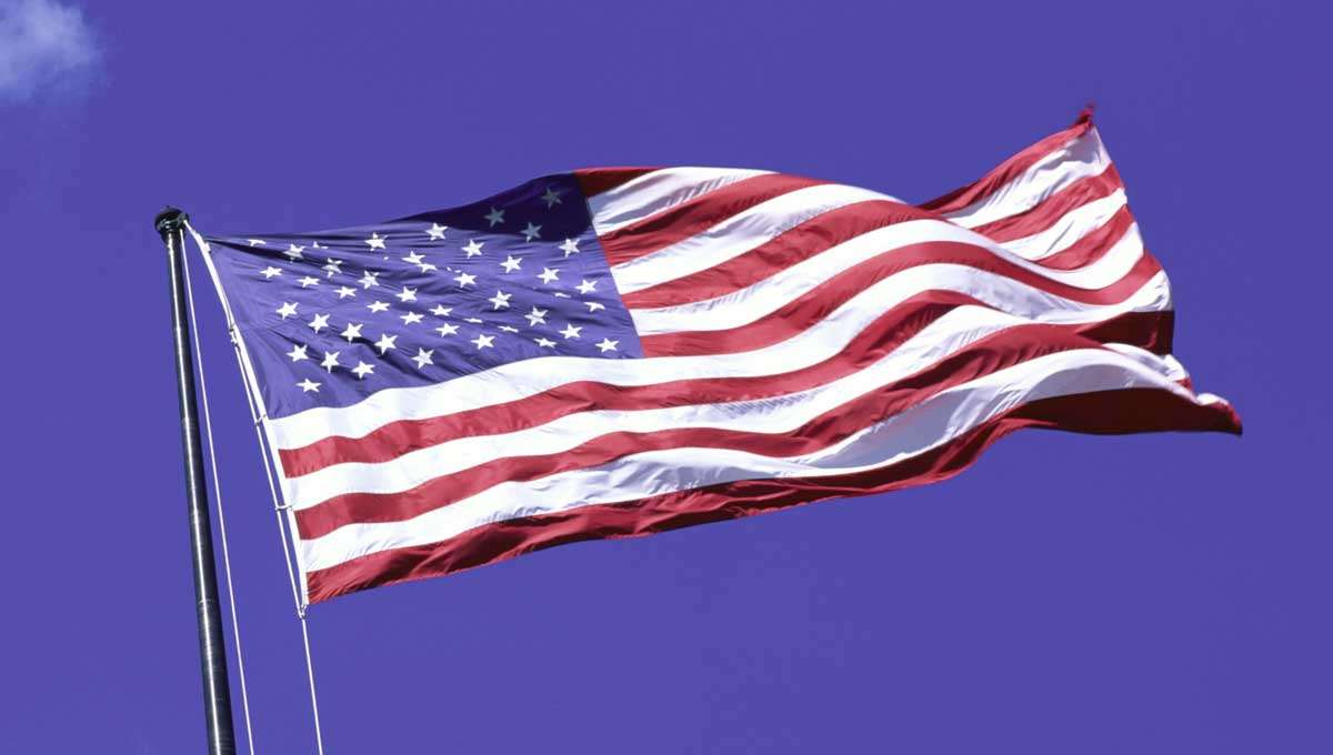 DisplayManager's tweet card. After discovering that more Americans are shot and killed by Americans than any other nation on earth, the US government announced a new plan to declare ‘War on the US’.