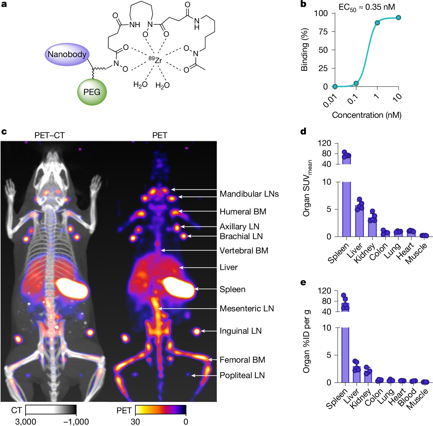 m_rashidian1's tweet card. Nature - A non-invasive in vivo positron emission tomography imaging approach detects inflammatory disease using various preclinical models.
