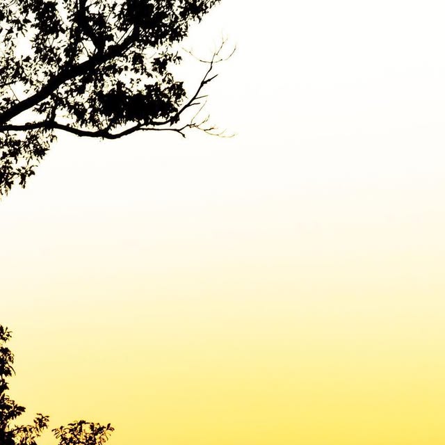 swiftcarbon's tweet card. SWIFT Bicycles (@swiftbicycles_) • Instagram photo