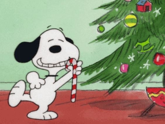 m2arice's tweet card. Christmas Day has come and gone, but we’re still filled with holiday cheer. Here’s how we are celebrating—counting down our readers’ favorite stories from the past year. (Image via) The presents have...