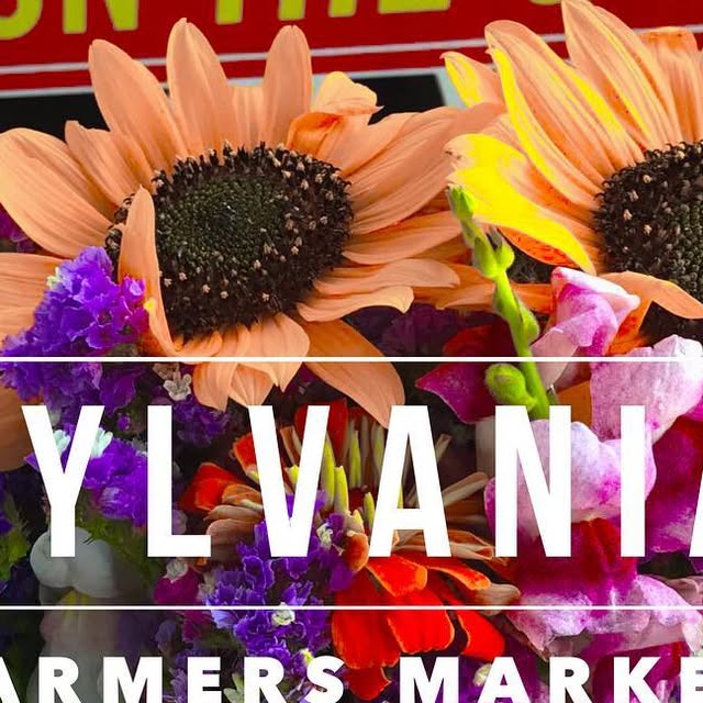 GrumpysOnTheGo's tweet card. Eat Here & Diet Home (@grumpysonthego) • Instagram photo