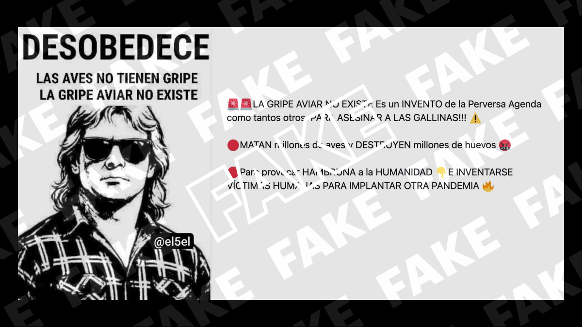 Bureli's tweet card. Es falso que la gripe aviar sea “un fraude” y no afecte a las aves