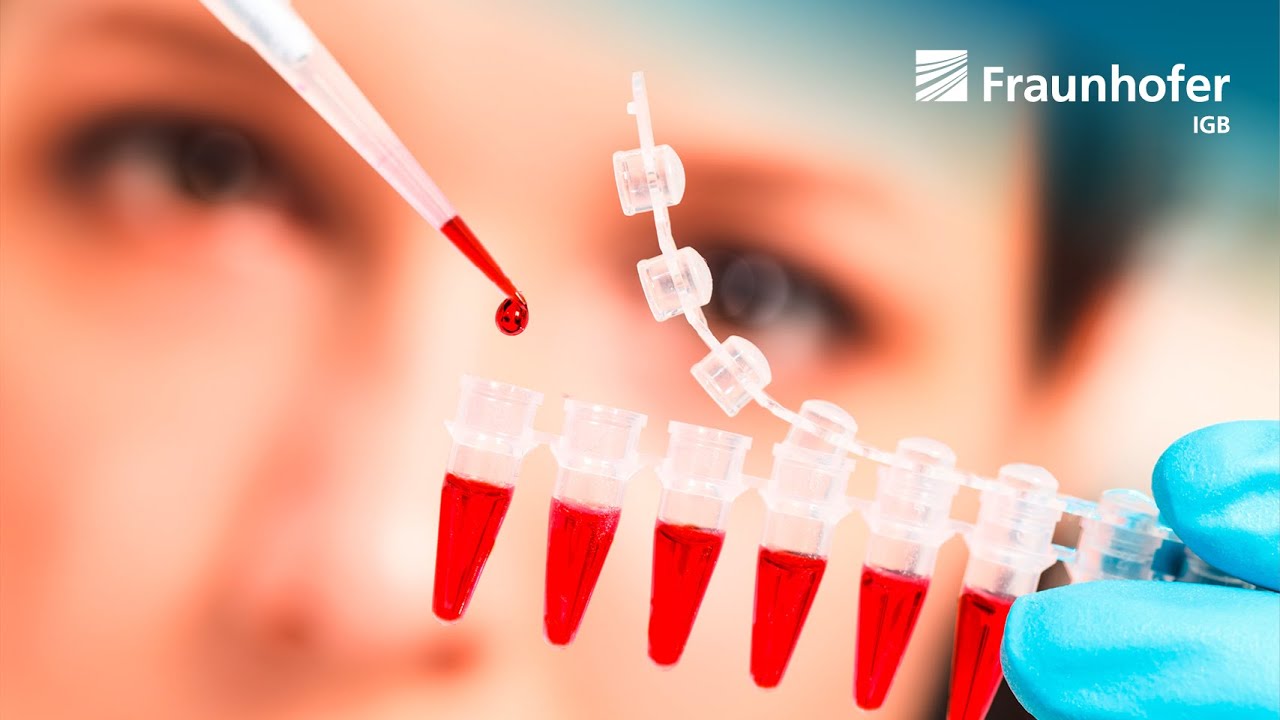 FunGenS's tweet card. Next-Generation Diagnostics – Entwicklung einer Präzisionsdiagnostik...