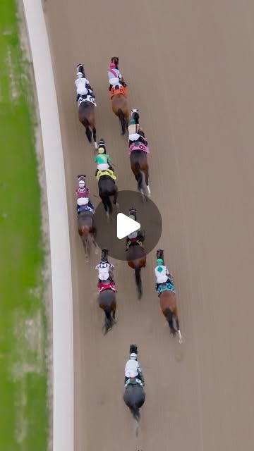 ZedanRacing's tweet card. 𝗣𝗼𝗻𝘆 𝗖𝗵𝗮𝘀𝗲𝗿𝘀 (@ponychasers) • Instagram reel