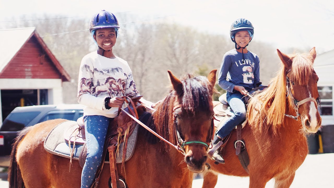 MathnasiumDP's tweet card. WHY WE HOMESCHOOL OUR GIRLS