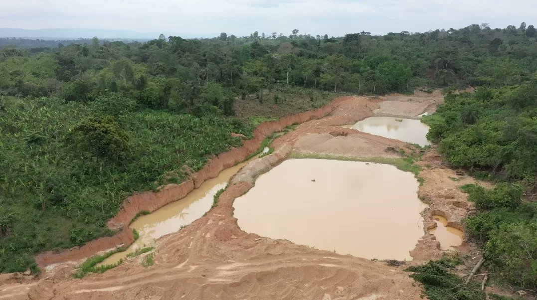 thecocoapost's tweet card. More than 4,300 hectares of cocoa farms in the Nkawie District of the Ashanti Region are at risk of destruction through illegal gold mining