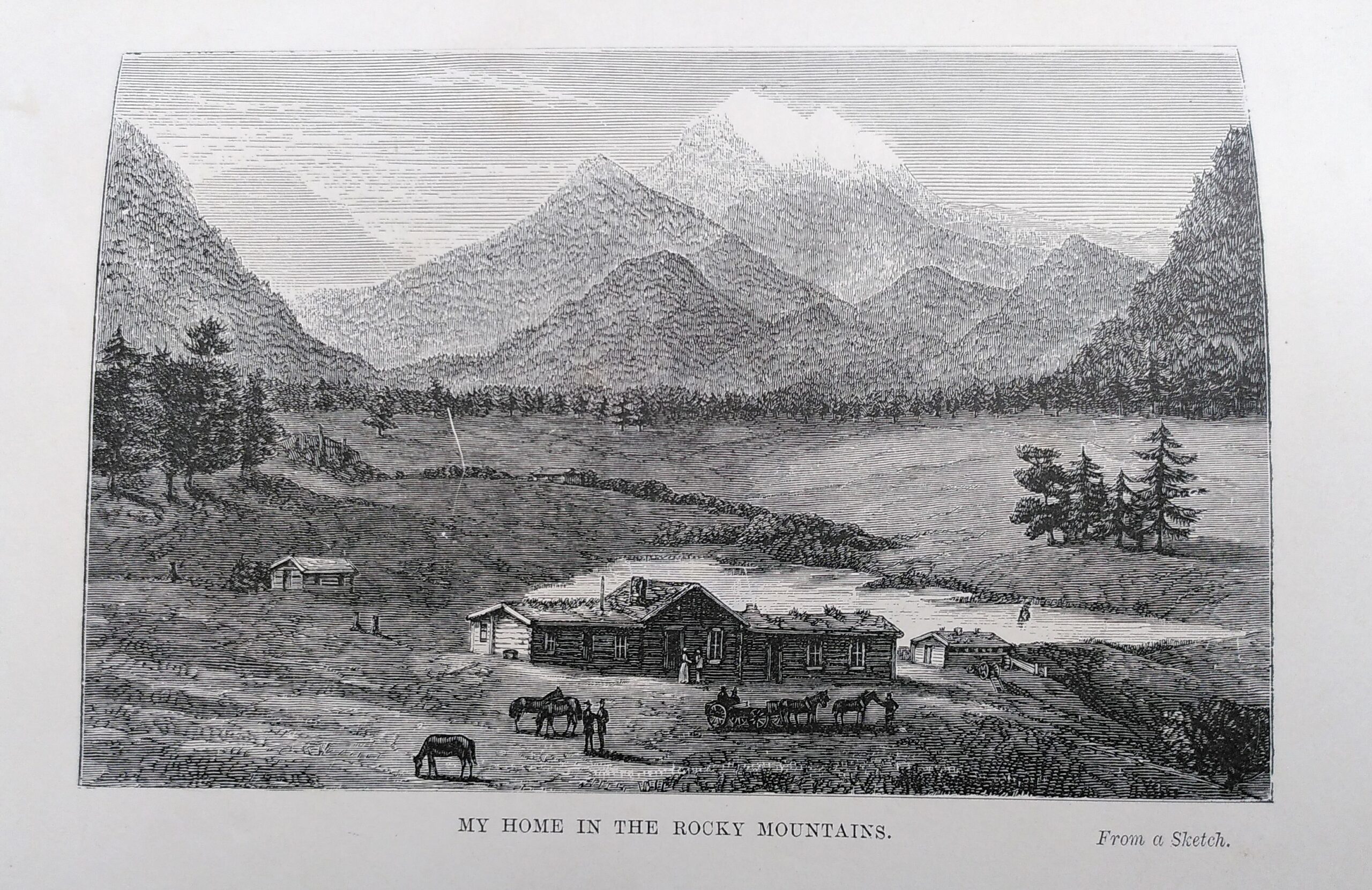 another_h_stdnt's tweet card. In the final instalment of her special edition Book of the Month blog, Isabel Moon discusses Isabella Bird’s ‘A Lady’s Life in the Rocky Mountains’ (1879). A prolific writer and […]