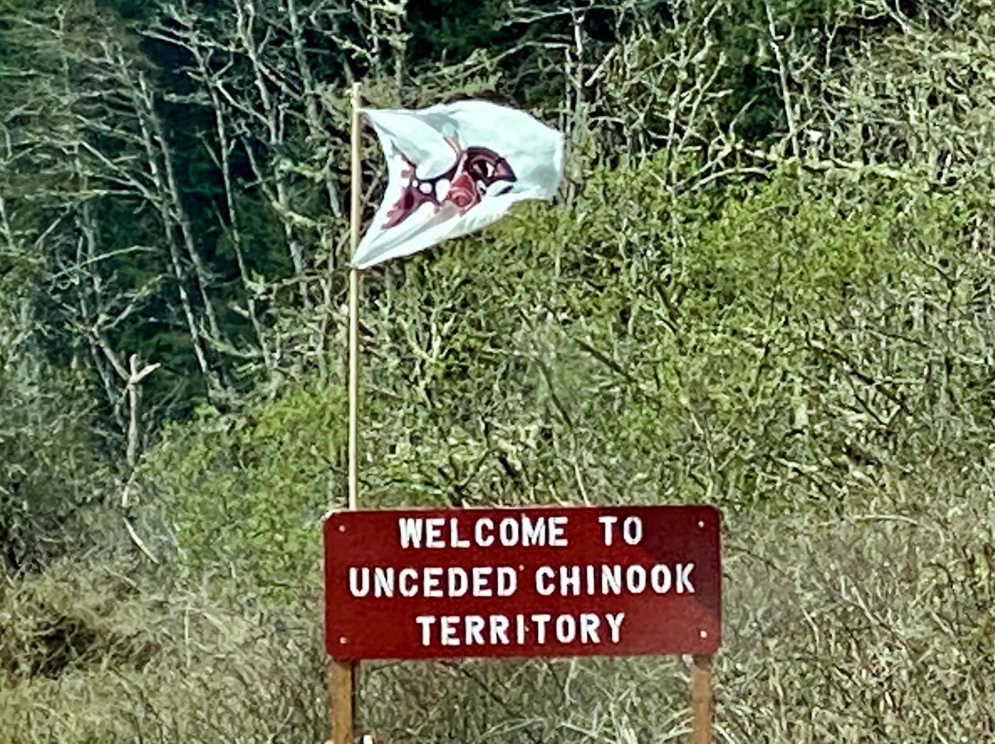 JSCCounterPunch's tweet card. I spent a few days last week at the mouth of the Columbia River, talking with members of the Chinook tribal people, whose ties to these tidal flats, rivers and coastal rainforests date back at least...