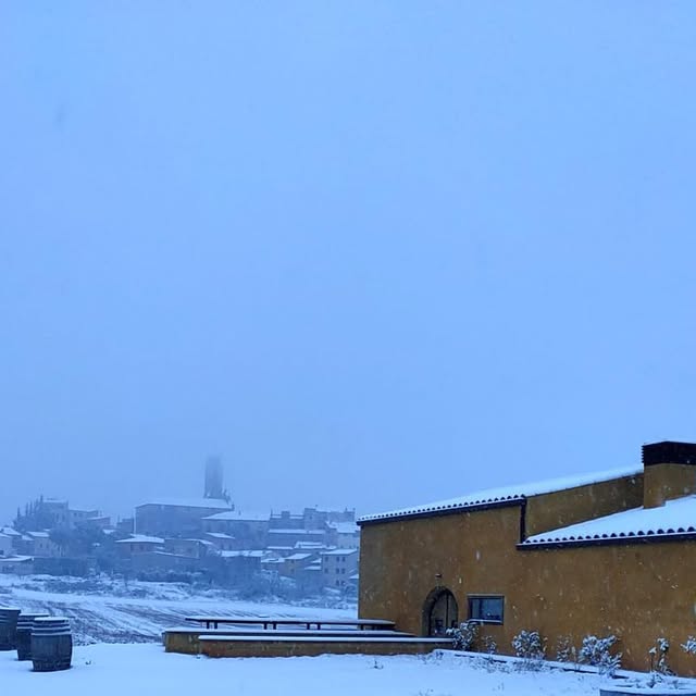 gourmenials_ca's tweet card. CARLANIA CELLER 👩🏼‍🌾 (@carlaniaceller) • Instagram photos and videos