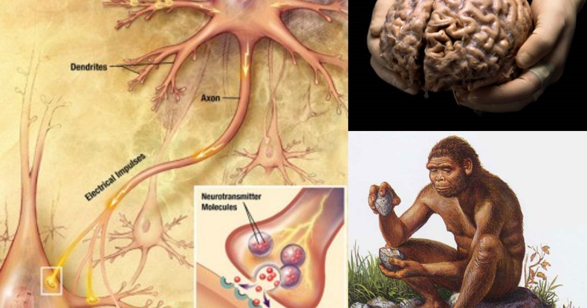 SciencePresse's tweet card. Je savais que ça arriverait. Que le milieu de mon automne risquait d’être pas mal chargé. Parce qu’à mon travail constant sur le livre s’ajoutent des engagements de cours et de conférences qui se...