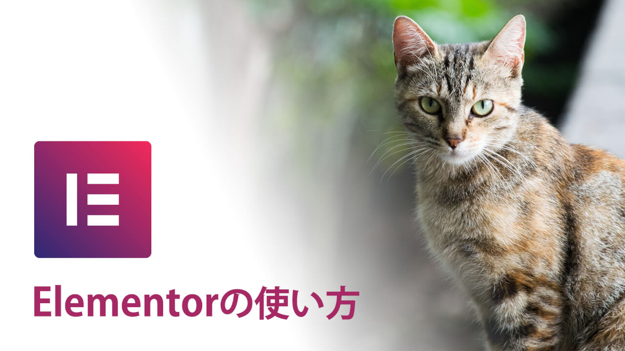 expwakui's tweet card. ウェブページをコード無しで感覚的に作れてしまうElementor。その全貌をまとめたページです。Elementorを始めたい人も、新しい拡張プラグインを探してる人も、是非見てみてください。あなたのElementorのスキルアップは間違い無いです。日々アップデートしていますよ。