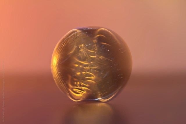 HelloThisIsFlo's tweet card. This post is part of a blog series called Leveling Up: A Guide for Programmers. The series covers skills to learn more easily and more strategically as a programmer. We recently finished a three-pa…