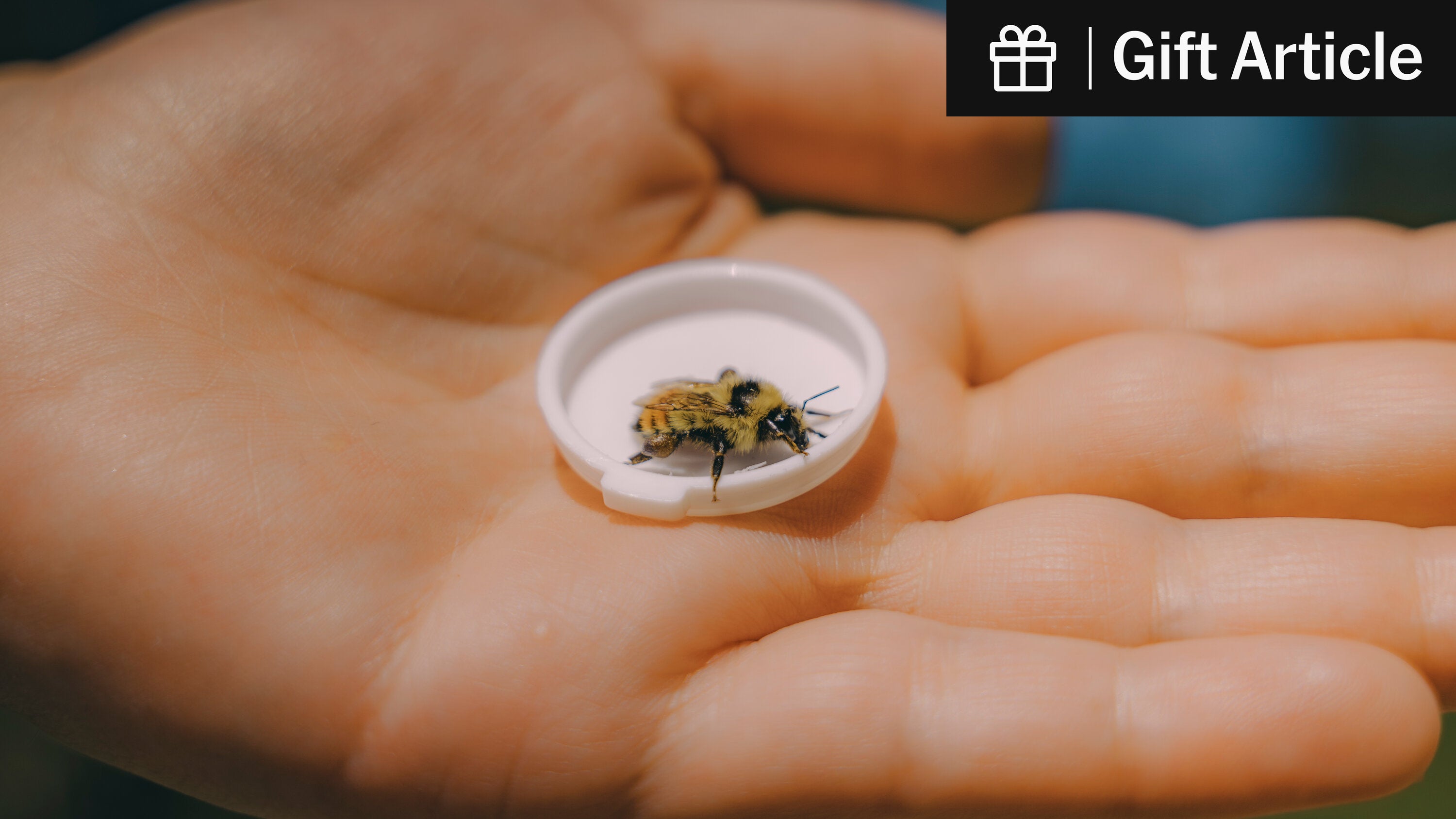 sharpwill's tweet card. For a new series, Times journalists are speaking with scientists whose research has ended as a result of policy changes by the Trump administration.