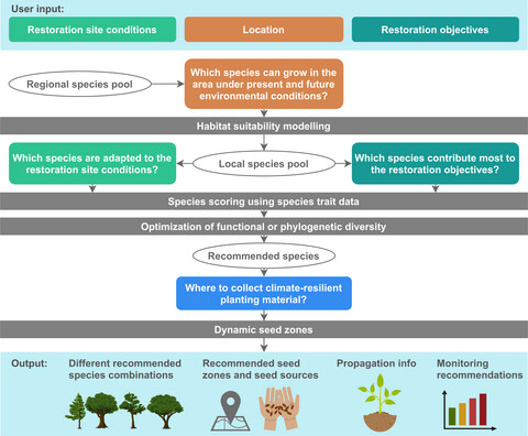 BiovIntCIAT_eng's tweet card. The Diversity for Restoration tool enables non-expert users to combine species traits, environmental data and climate change models to select tree species and seed sources that best match restorati...