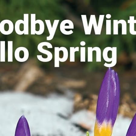 hooverlumber1's tweet card. Hoover Lumber (@hooverlumber) • Instagram photo