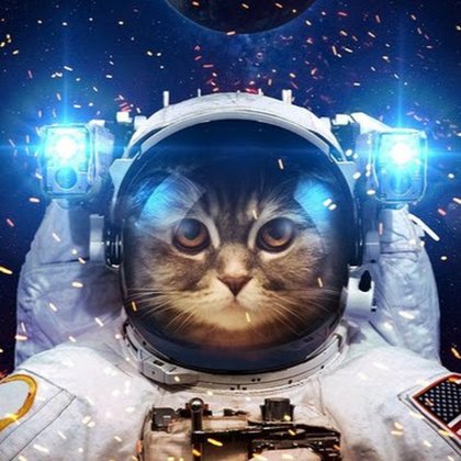 Tweet card summary image