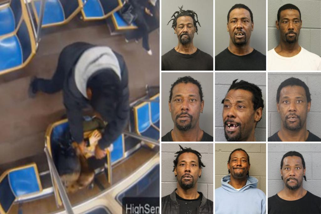 rdb2110aolcom's tweet card. The violent career criminal arrested for setting an innocent young woman on fire on a Chicago train had more than 70 prior arrests to his name -- as the feds rage he "had no business being on the...