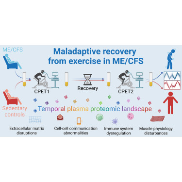 AmmesAdmin's tweet card. The overarching symptom of myalgic encephalomyelitis/chronic fatigue syndrome (ME/CFS) is post-exertional malaise (PEM), an exacerbation of symptoms following physical or mental exertion. To invest...