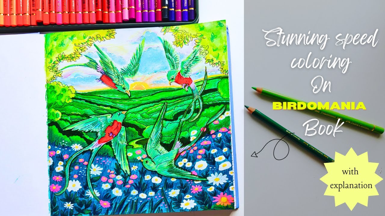 RaveenaBaskaran's tweet card. Color Along • New Birdomania Coloring Book #speedcoloring #adultcol...