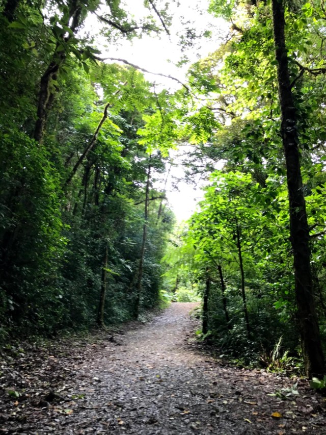 MauRoblesCR's tweet card. Lo que más aprecio en toda esta aventura es todas esas personas alrededor del mundo que me han acompañado de alguna forma y de quienes he aprendido una cantidad increíble.